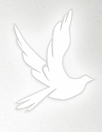 Jeanette E. (Siluk) Freiwald Obituary
